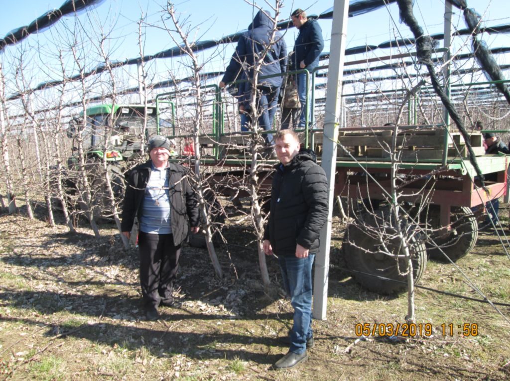 Главные специалисты отдела мониторинга почв Чернов В.А. и Макоед А.А. в саду шпалерного типа