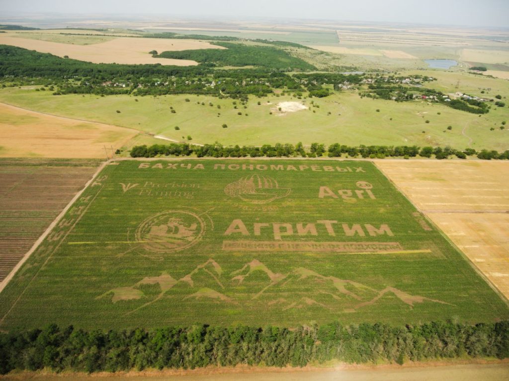 Кукурузный рисунок в КФХ «Пономарево»
