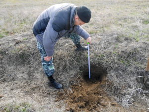Измерение плодородного слоя почвы на аллювиальных щебенчатых почвах